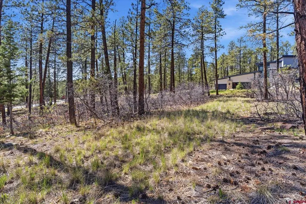 1096 Red Canyon Trail Durango, CO 81301