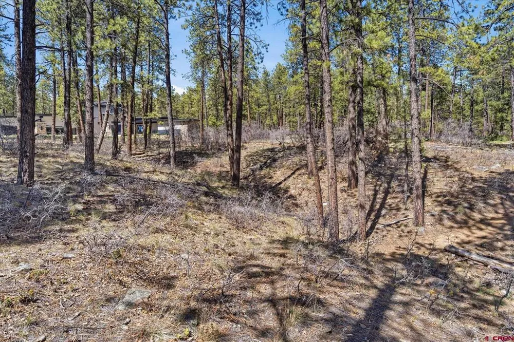 1096 Red Canyon Trail Durango, CO 81301