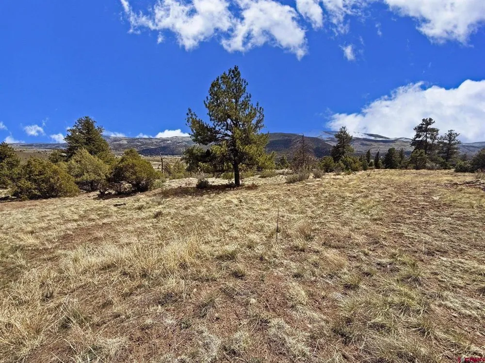 51 Moajve Court South Fork, CO 81154