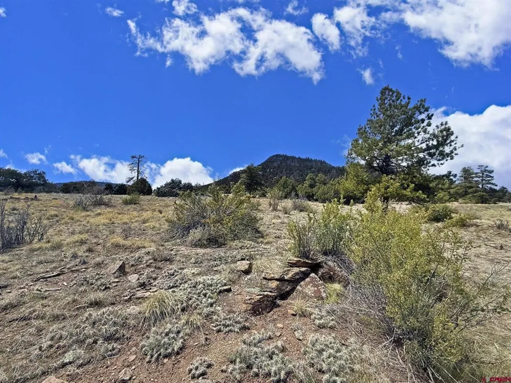51 Moajve Court South Fork, CO 81154