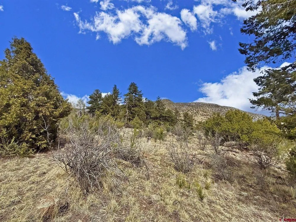51 Moajve Court South Fork, CO 81154