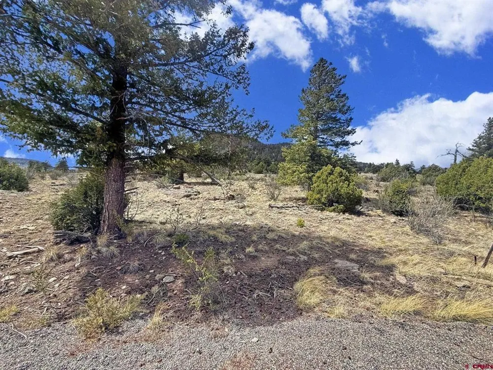 51 Moajve Court South Fork, CO 81154