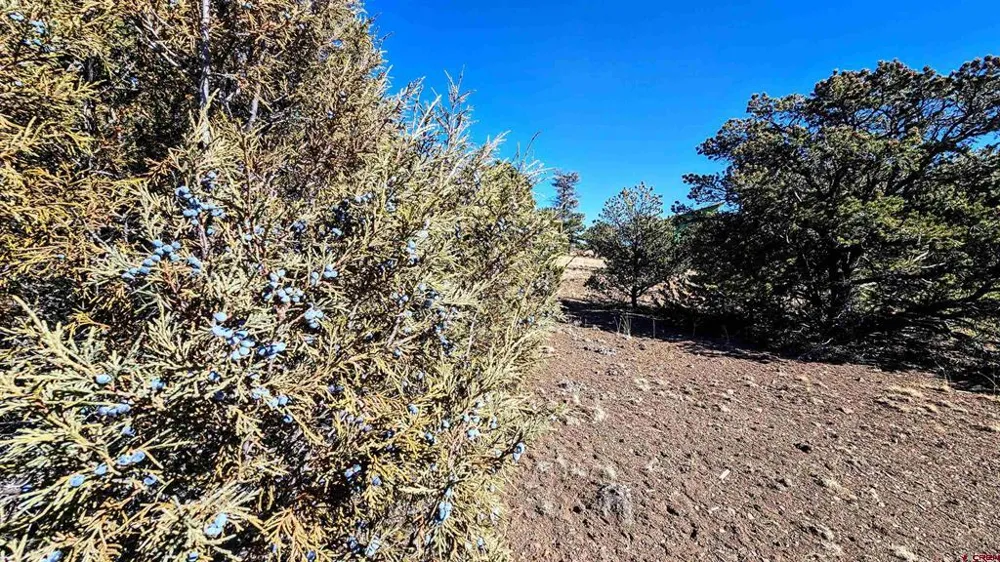 180 Silver Thread Circle South Fork, CO 81154