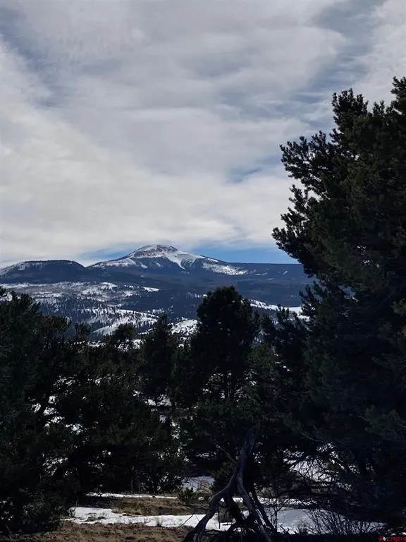 180 Silver Thread Circle South Fork, CO 81154