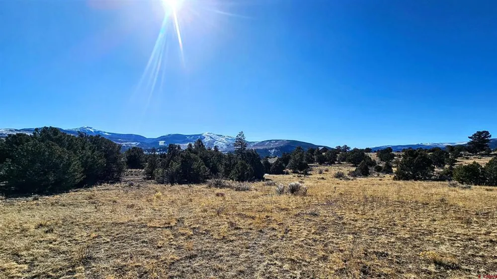 180 Silver Thread Circle South Fork, CO 81154