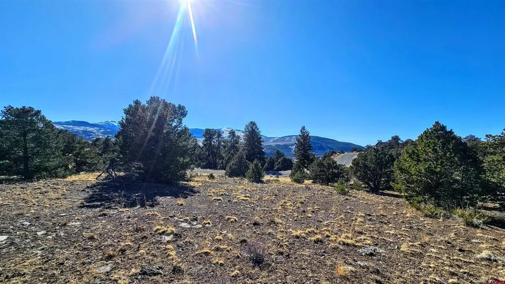180 Silver Thread Circle South Fork, CO 81154