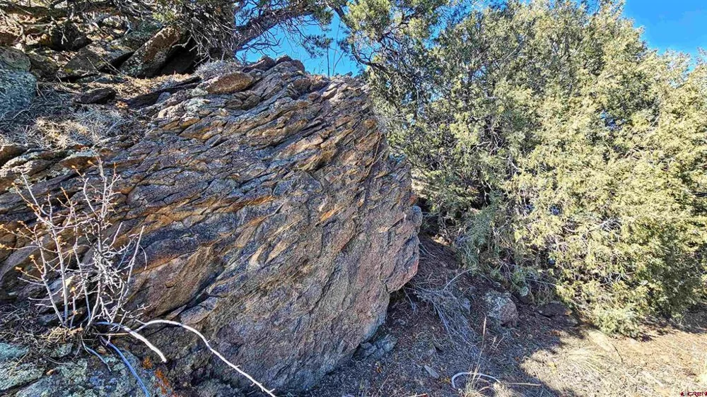 180 Silver Thread Circle South Fork, CO 81154