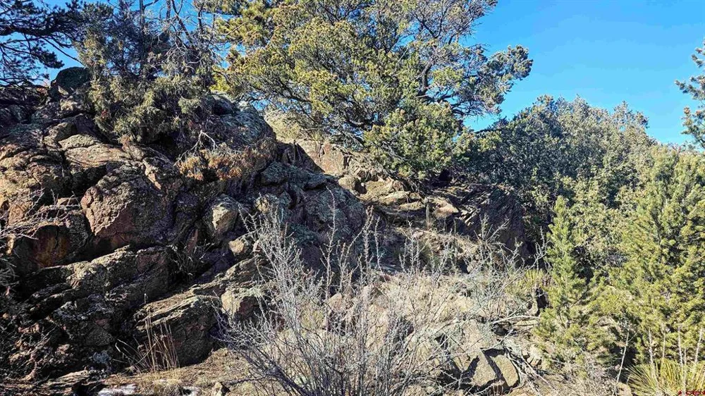 180 Silver Thread Circle South Fork, CO 81154