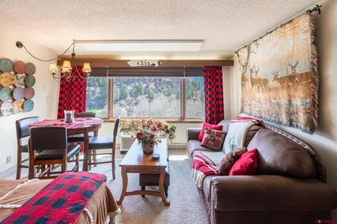 314 Tamarron Drive #219