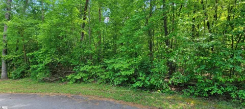 00 Lynden Loop