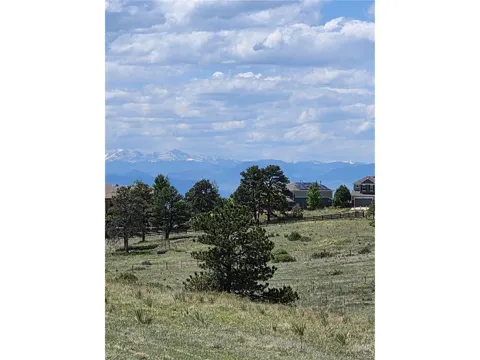 Forest Rim Road