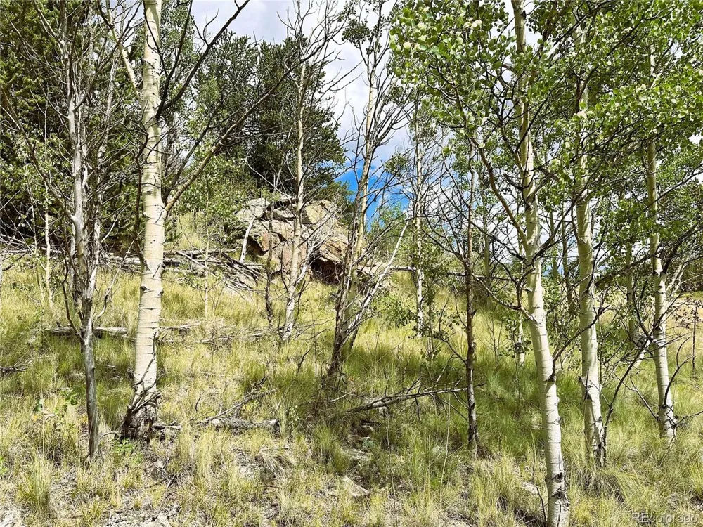 Address Not Shown Como, CO 80432