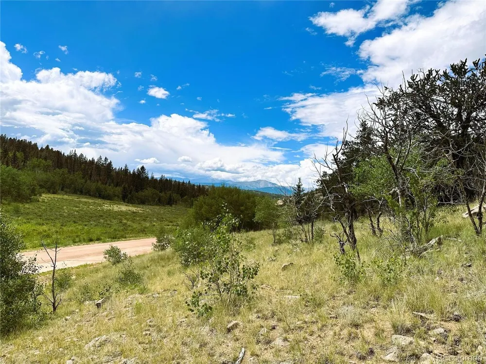 Address Not Shown Como, CO 80432