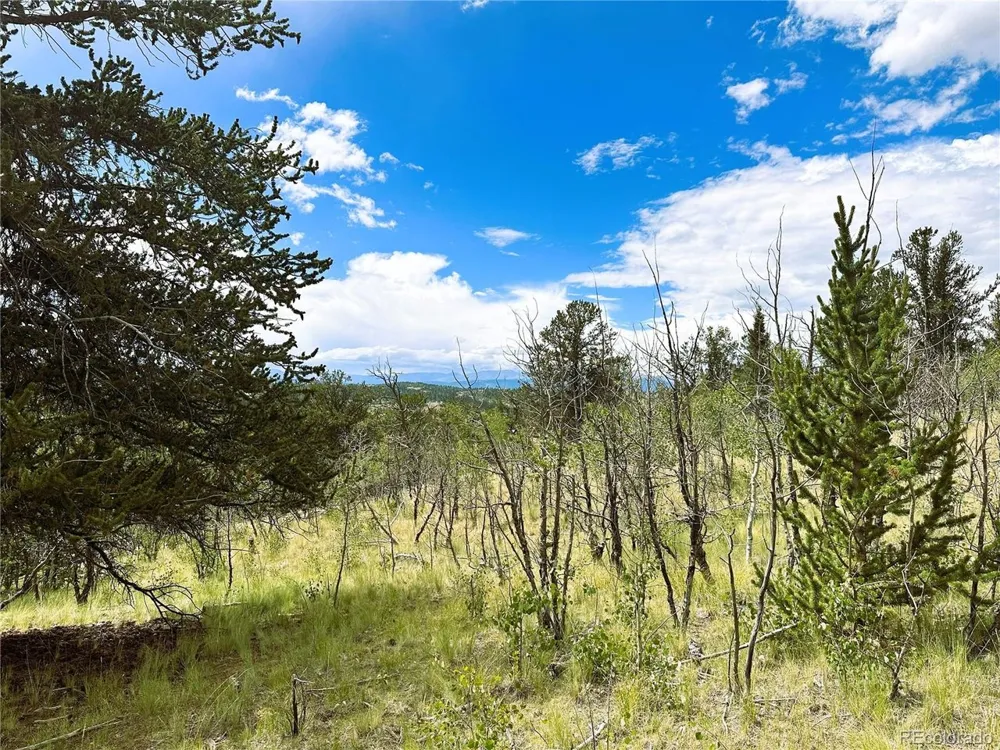 Address Not Shown Como, CO 80432