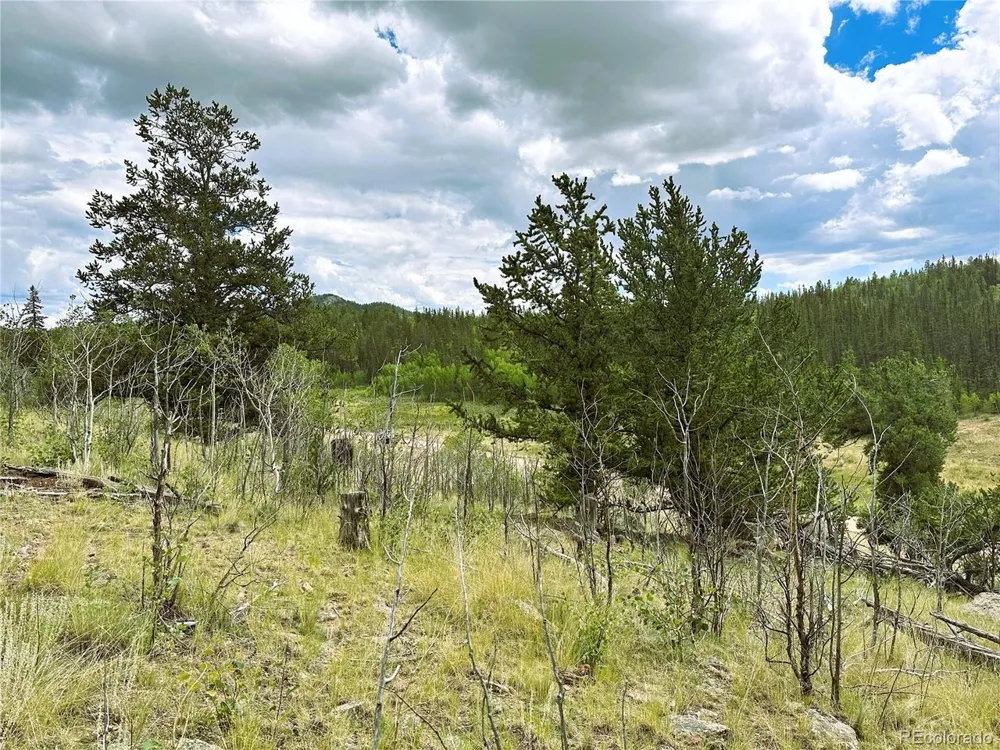 Address Not Shown Como, CO 80432