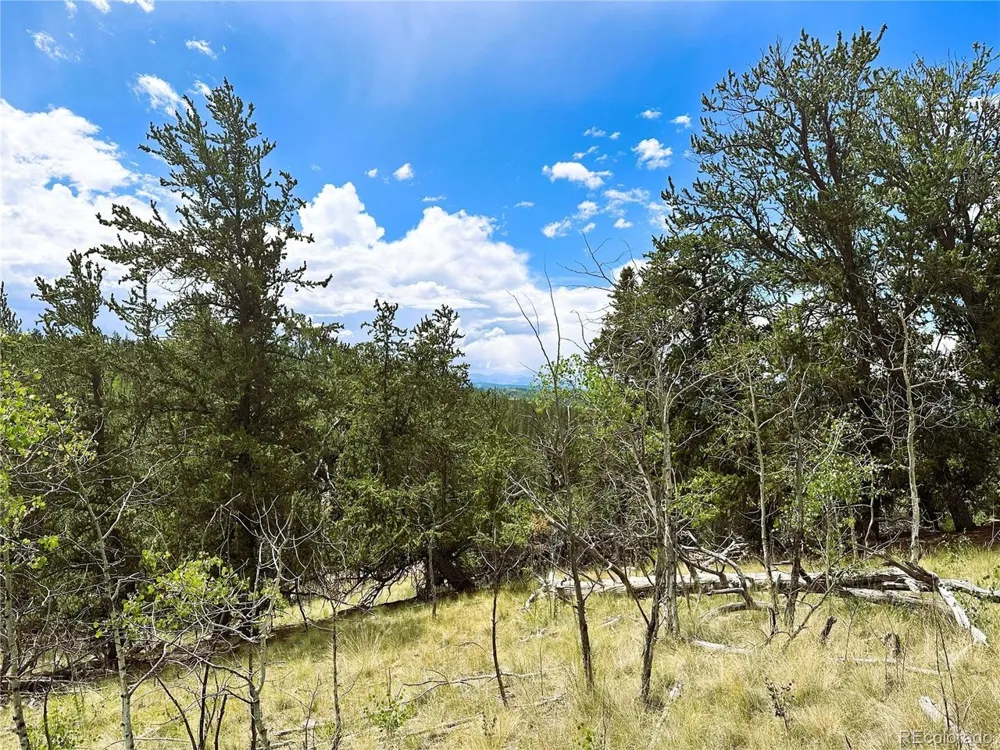 Address Not Shown Como, CO 80432
