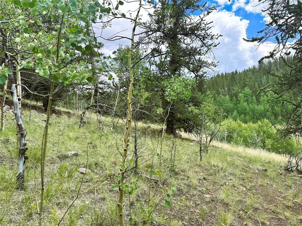 Address Not Shown Como, CO 80432