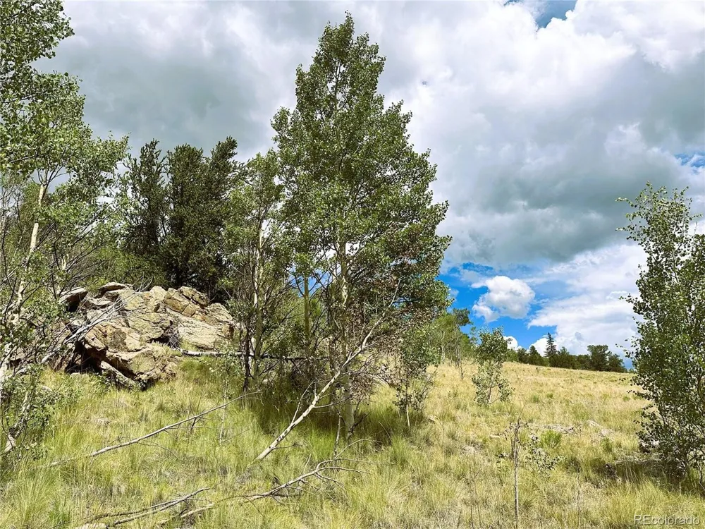 Address Not Shown Como, CO 80432