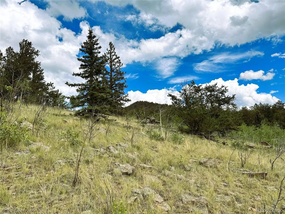 Address Not Shown Como, CO 80432