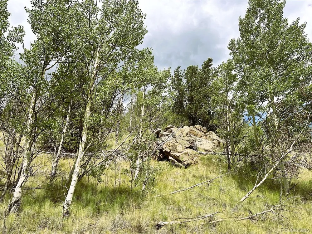 Address Not Shown Como, CO 80432
