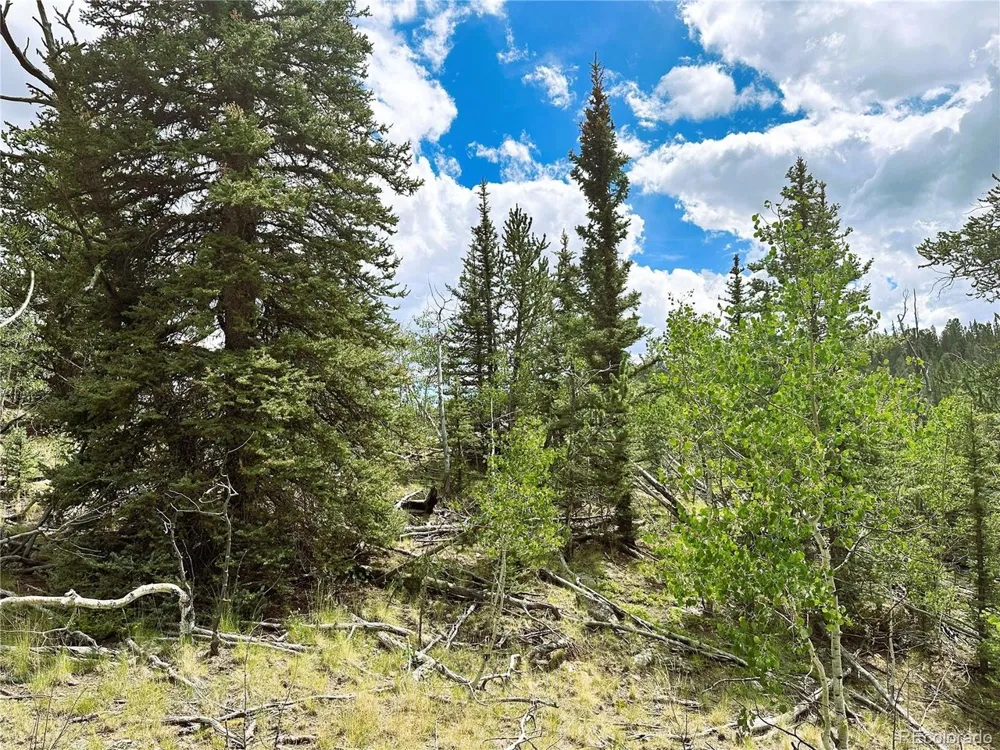 Address Not Shown Como, CO 80432