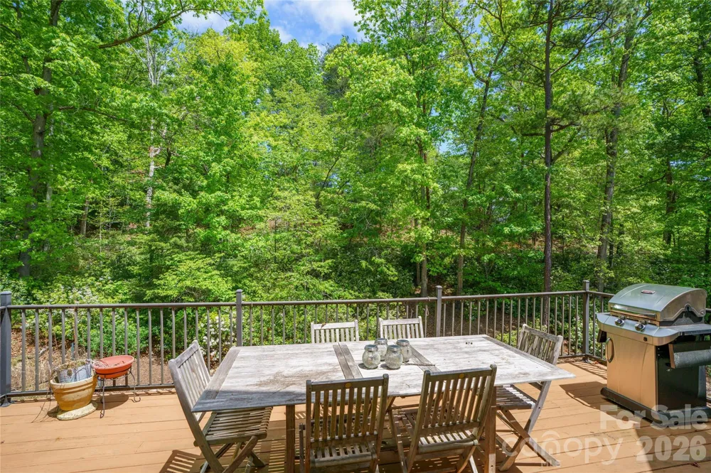 176 Hemlock Lane Lake Lure, NC 28746