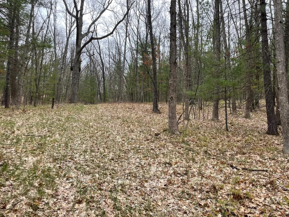 Coates Hwy Brethren, MI 49619