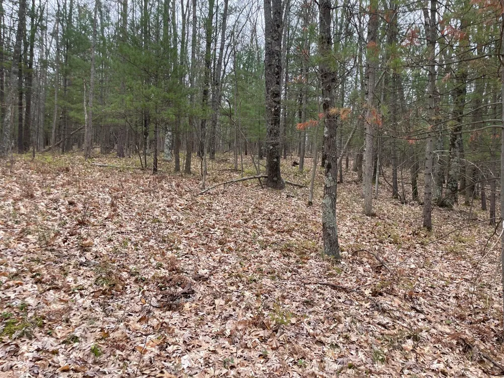 Coates Hwy Brethren, MI 49619