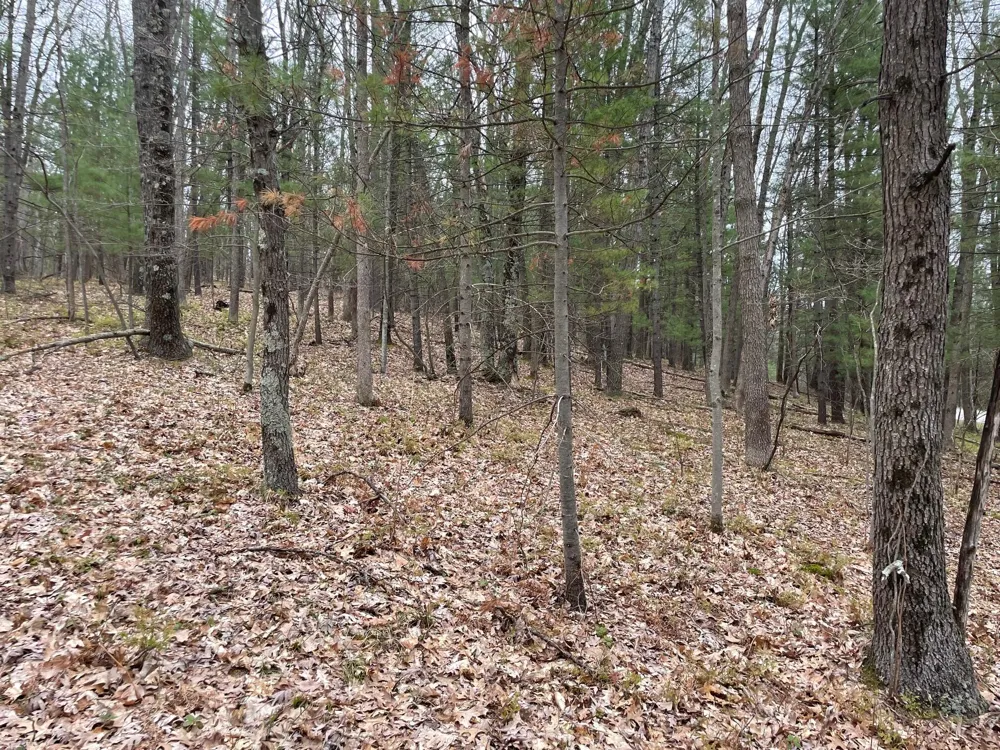 Coates Hwy Brethren, MI 49619