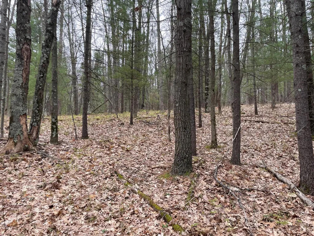 Coates Hwy Brethren, MI 49619