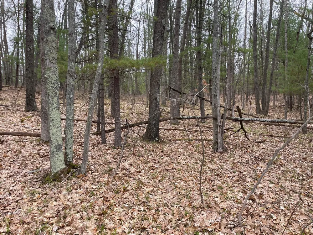 Coates Hwy Brethren, MI 49619