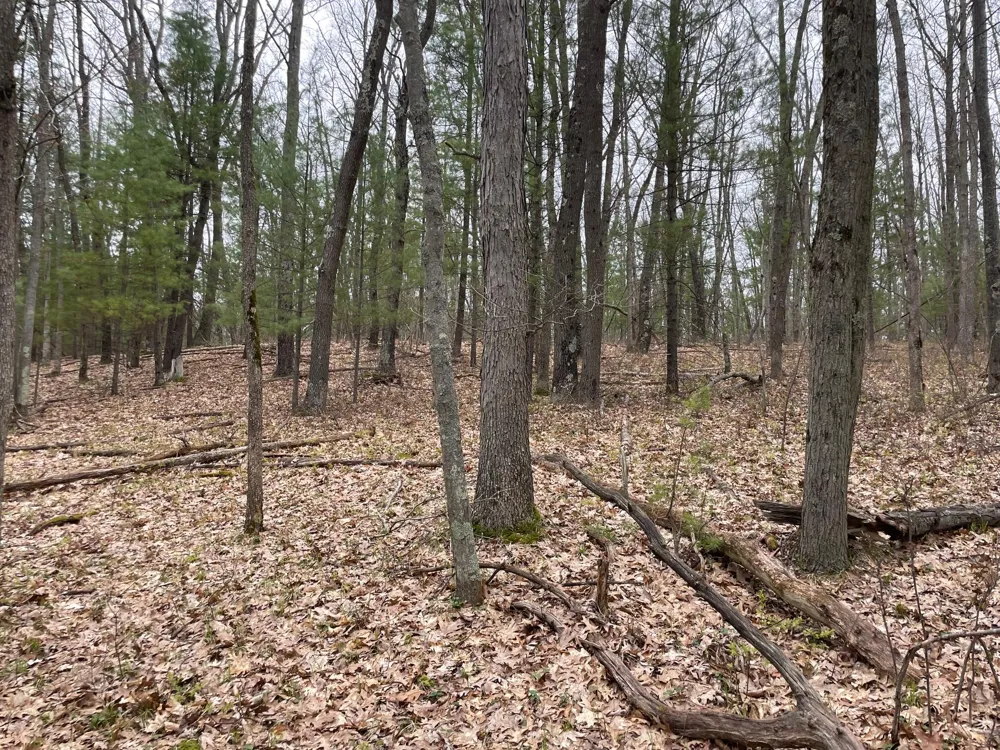 Coates Hwy Brethren, MI 49619