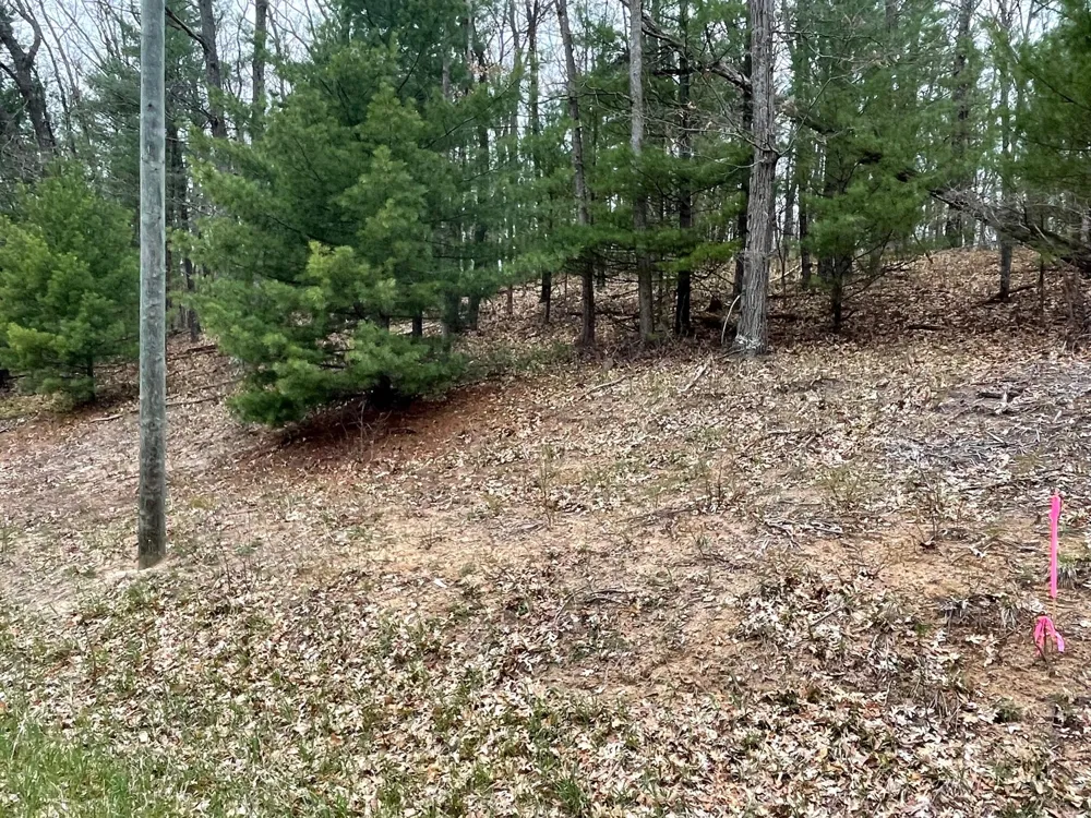 Coates Hwy Brethren, MI 49619