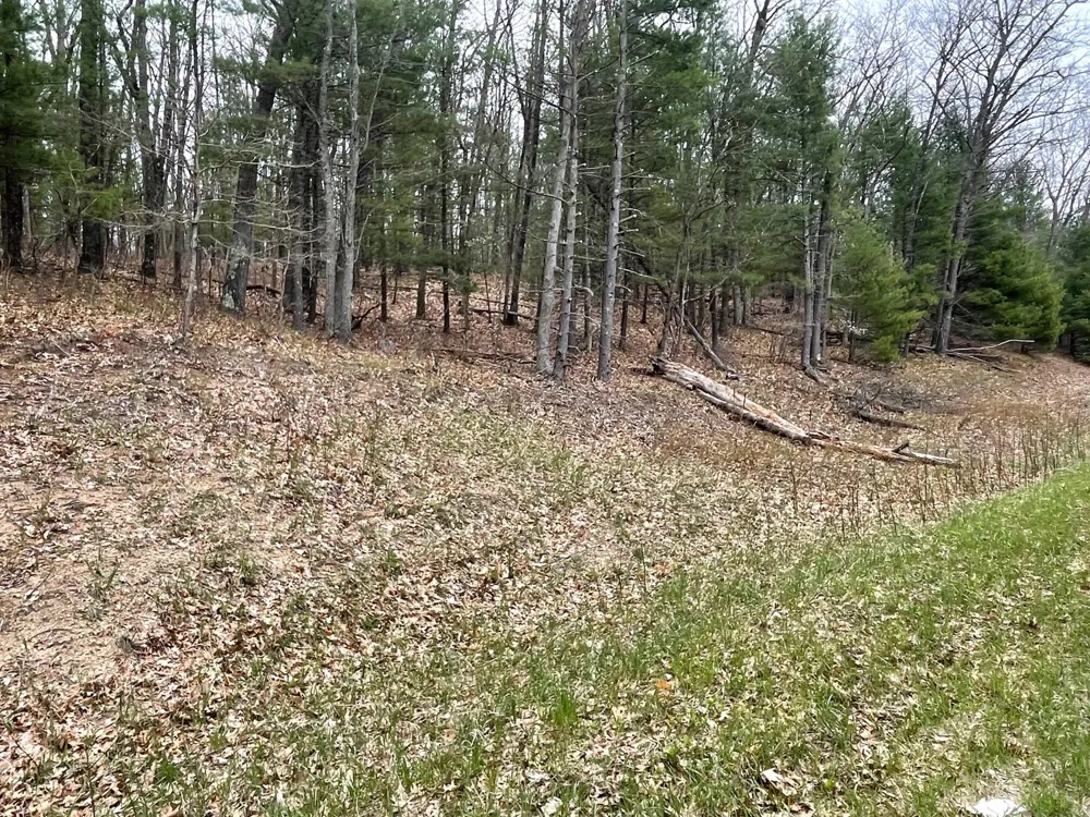 Coates Hwy Brethren, MI 49619
