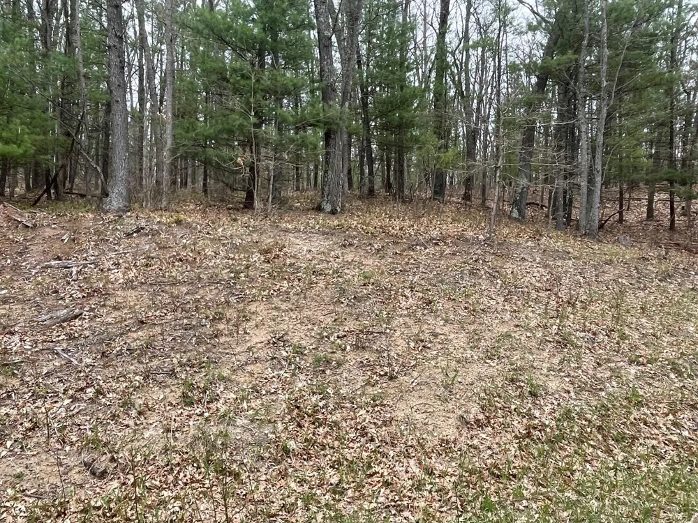 Coates Hwy Brethren, MI 49619