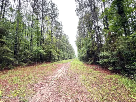 000 Emerald State Line Road