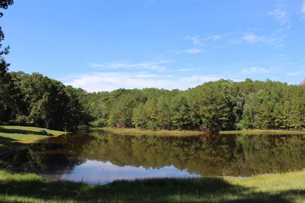 0magnolia Trinity, TX 75862