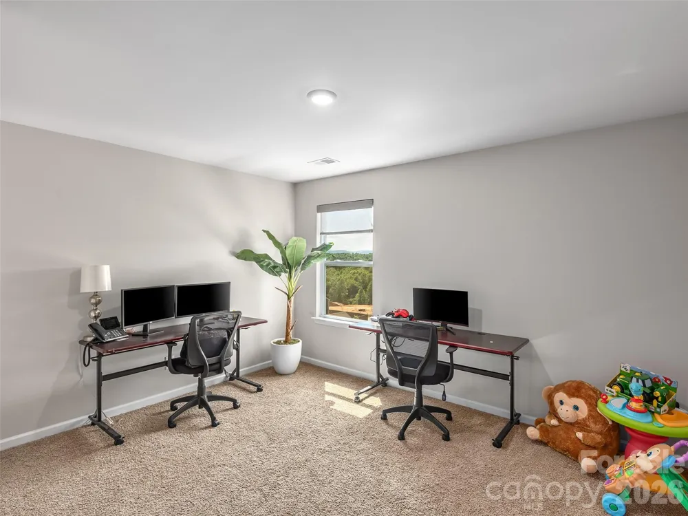 348 Tavernier Lane Candler, NC 28715