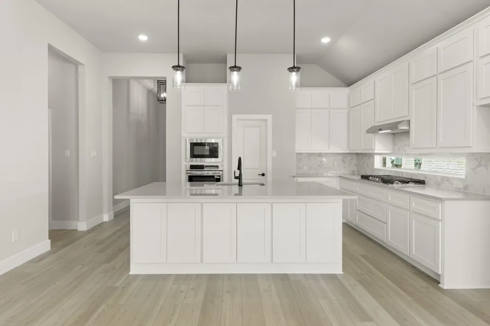 517 Bristle Pine Avenue Little Elm, TX 75068