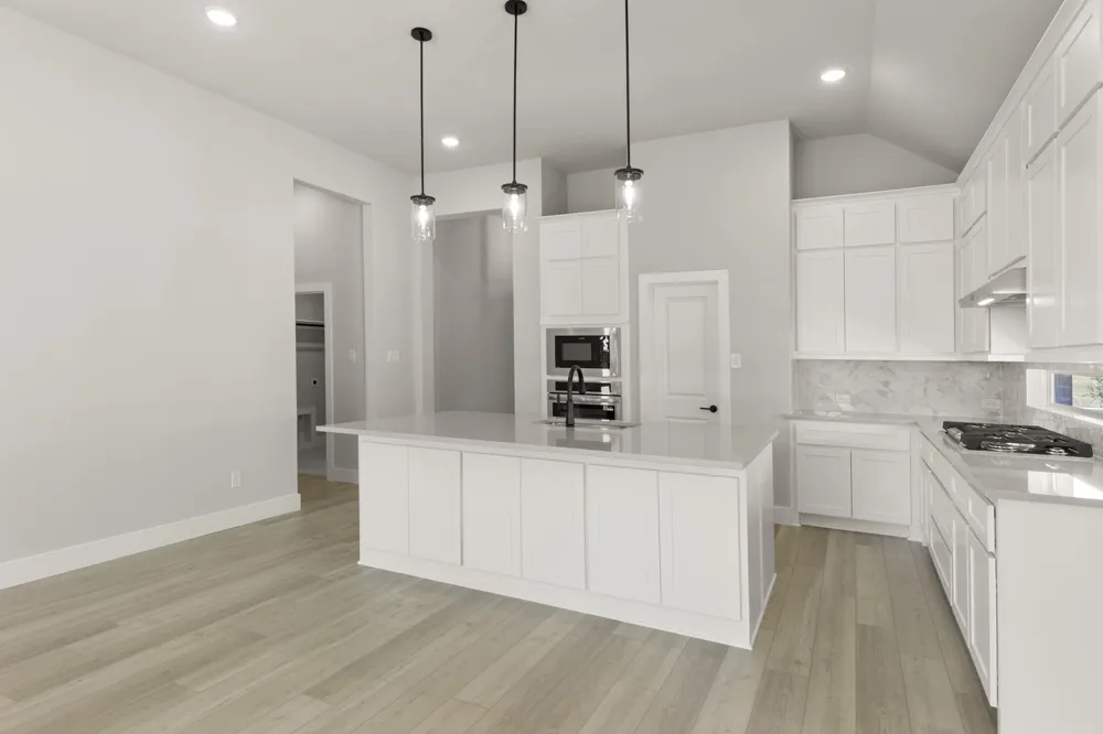 517 Bristle Pine Avenue Little Elm, TX 75068