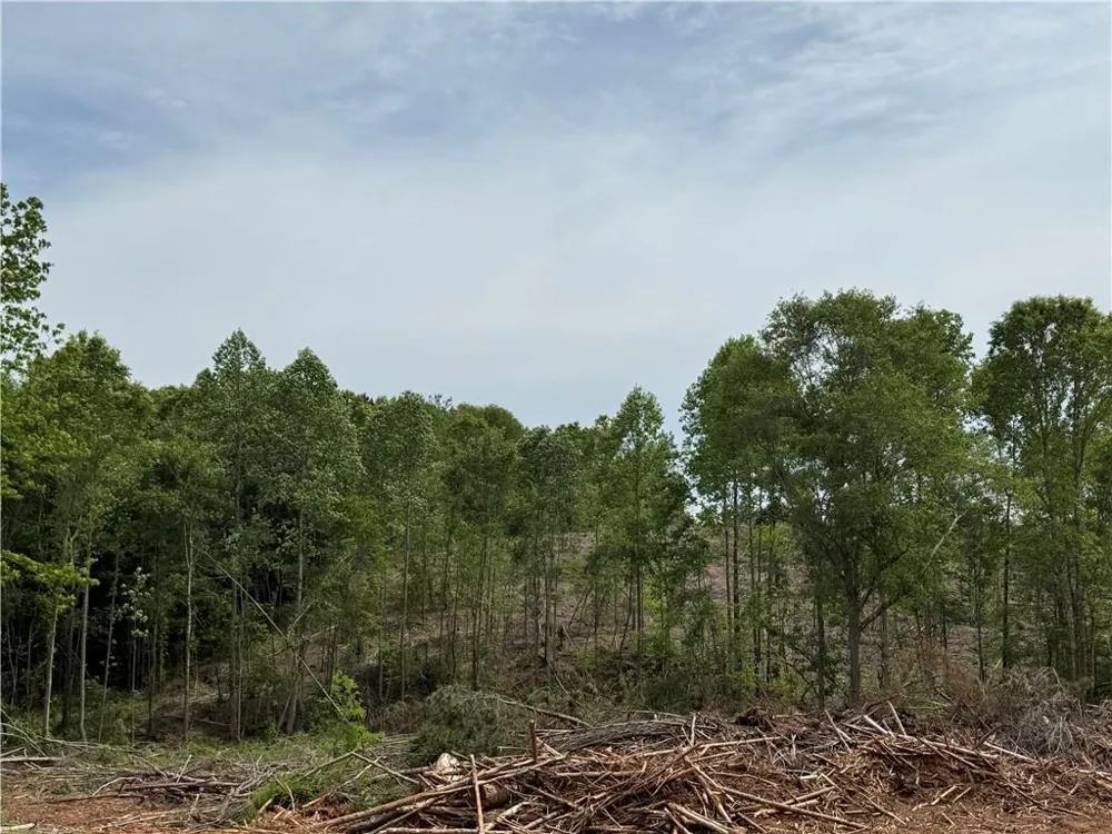 2574 N Hwy 27 Carrollton, GA 30117