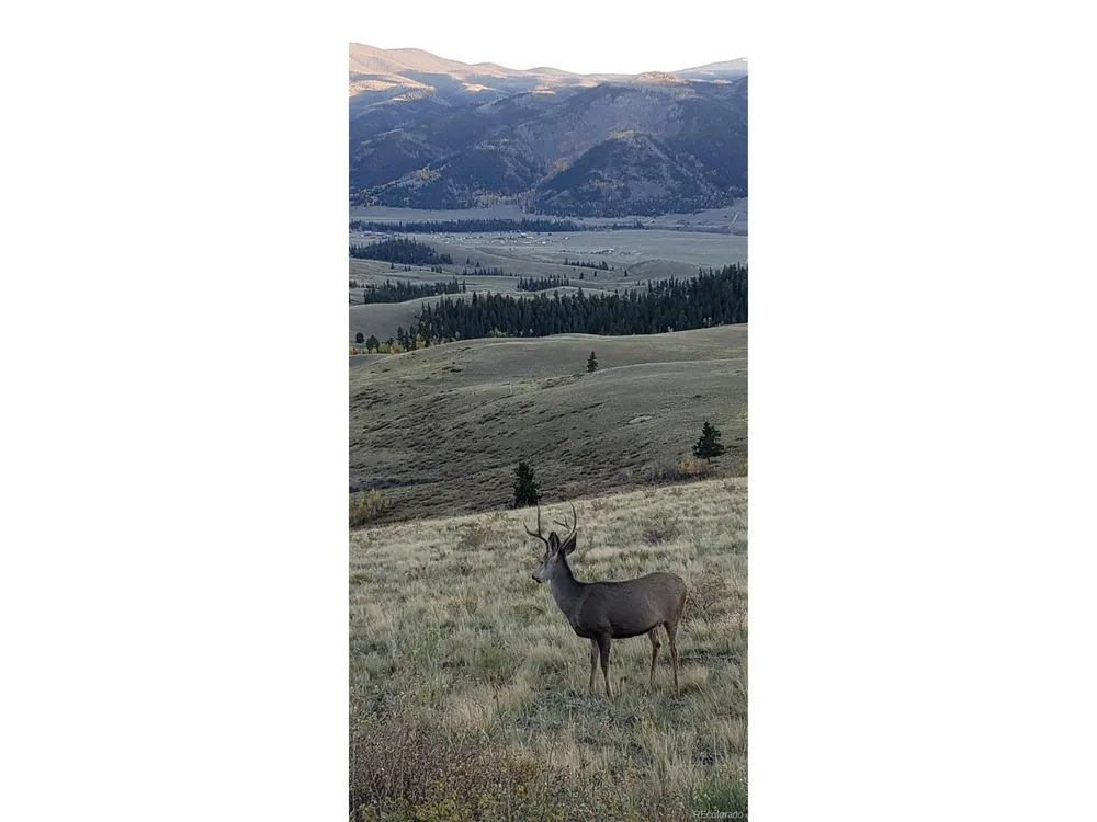 487 County Road 504 Bachelor Loop Creede, CO 81130