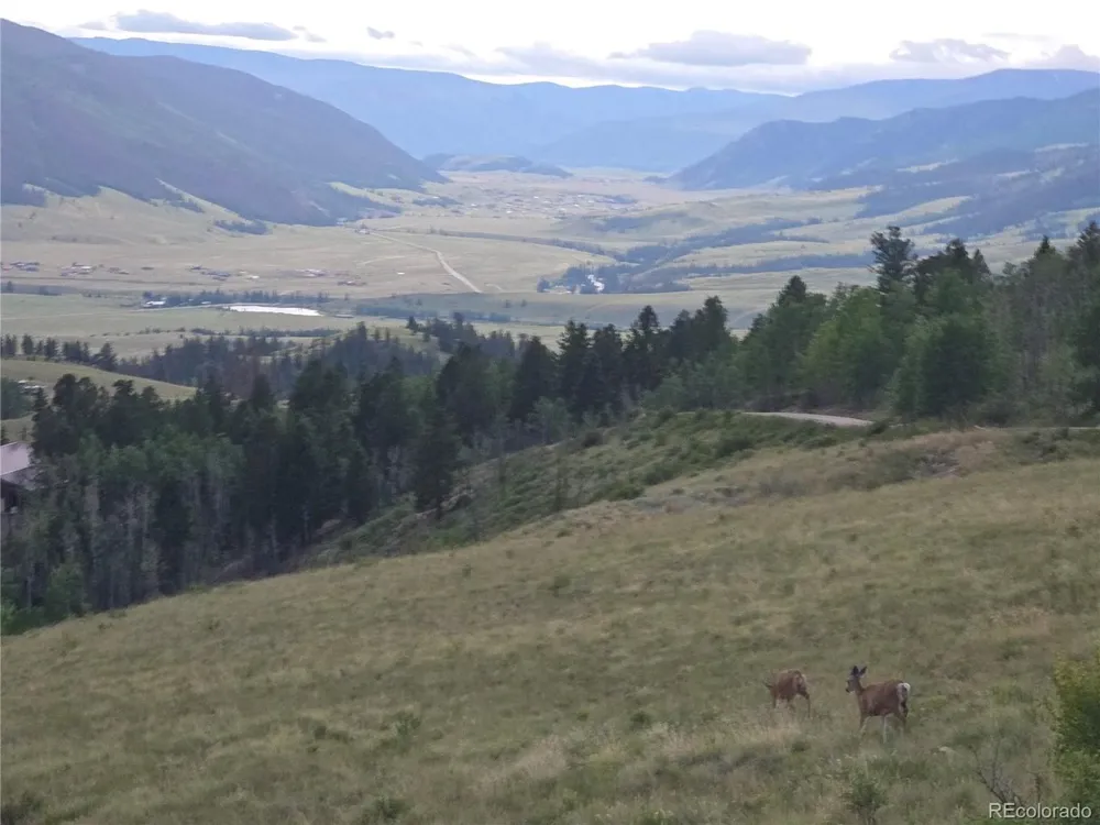 487 County Road 504 Bachelor Loop Creede, CO 81130