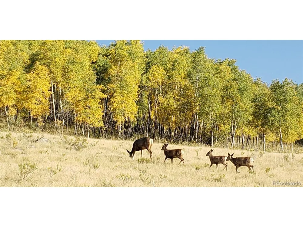 487 County Road 504 Bachelor Loop Creede, CO 81130