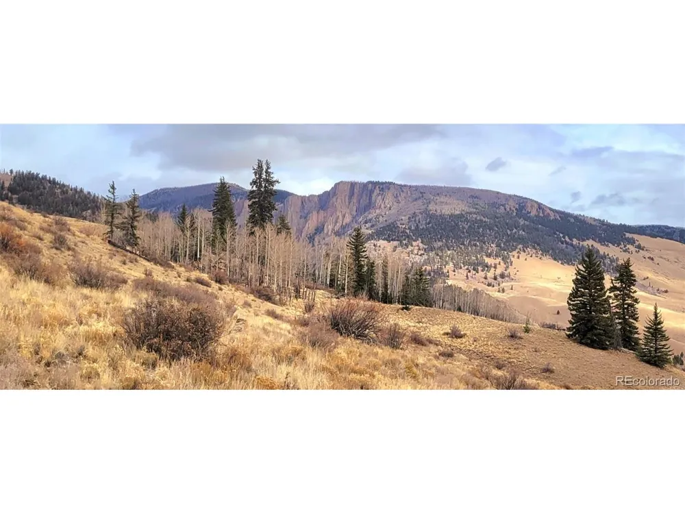487 County Road 504 Bachelor Loop Creede, CO 81130