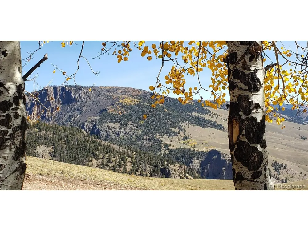 487 County Road 504 Bachelor Loop Creede, CO 81130