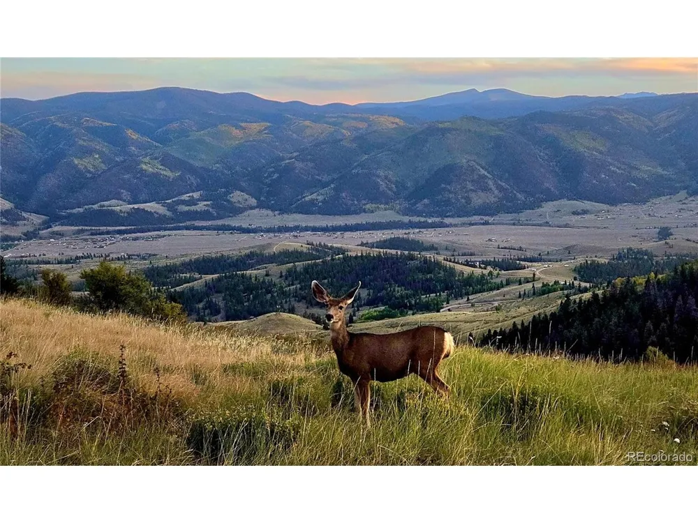 487 County Road 504 Bachelor Loop Creede, CO 81130