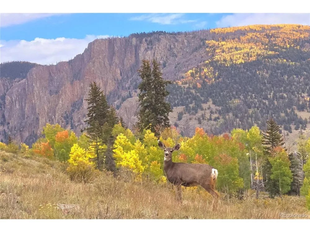 487 County Road 504 Bachelor Loop Creede, CO 81130