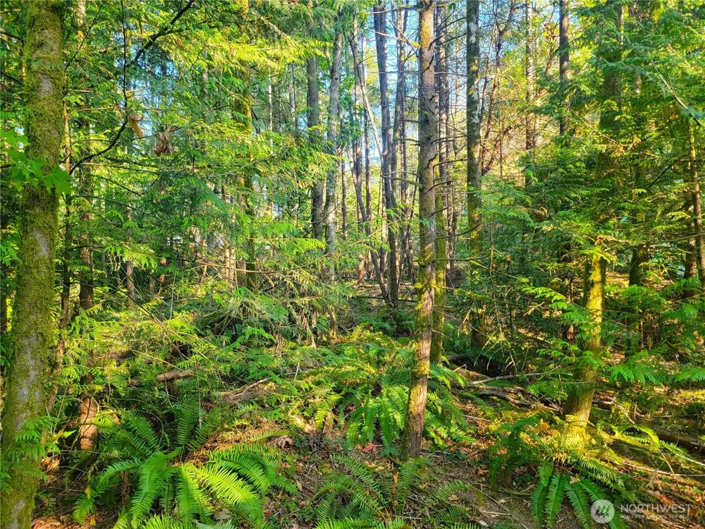 1858 NE McWilliams Road Bremerton, WA 98311