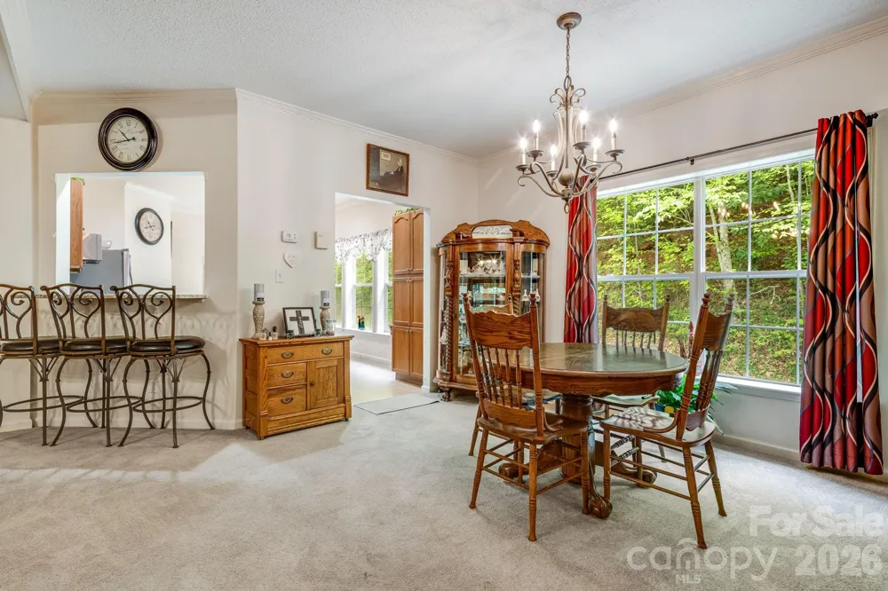 3287 Cabin Creek Road Zirconia, NC 28790
